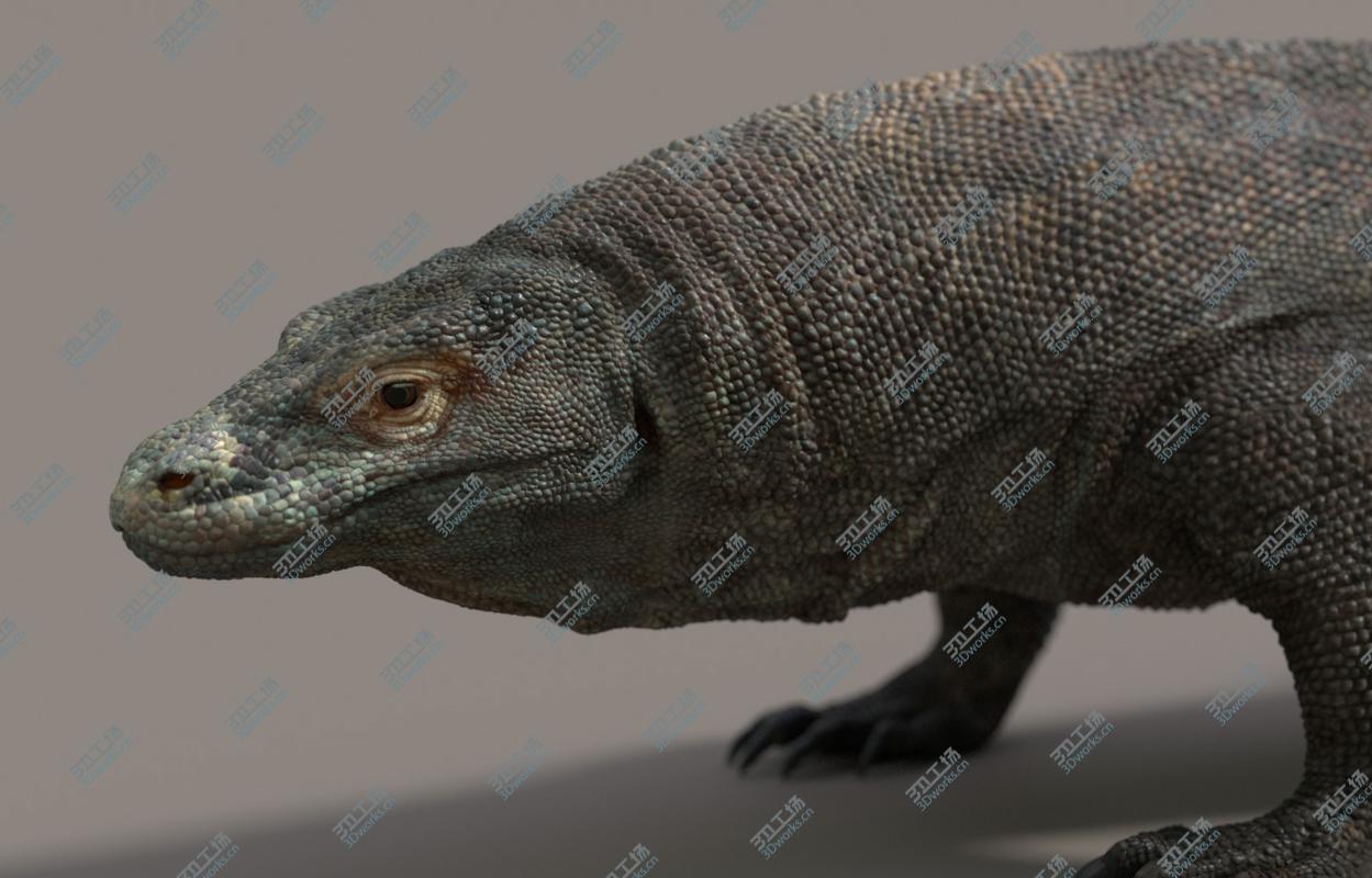images/goods_img/20210319/Komodo Dragon/1.jpg